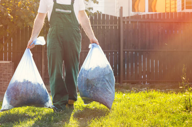 Best Electronics and E-Waste Disposal  in Haskins, OH